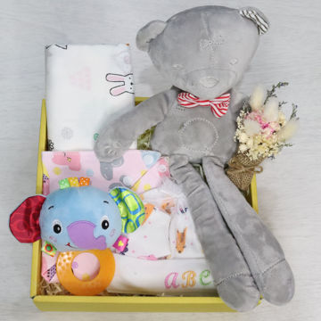newborn-baby-girl-bear-essentials-gift-box		 A gift box filled with goodies for a newborn baby girl like a teddy, mittens, socks, a hat & more.